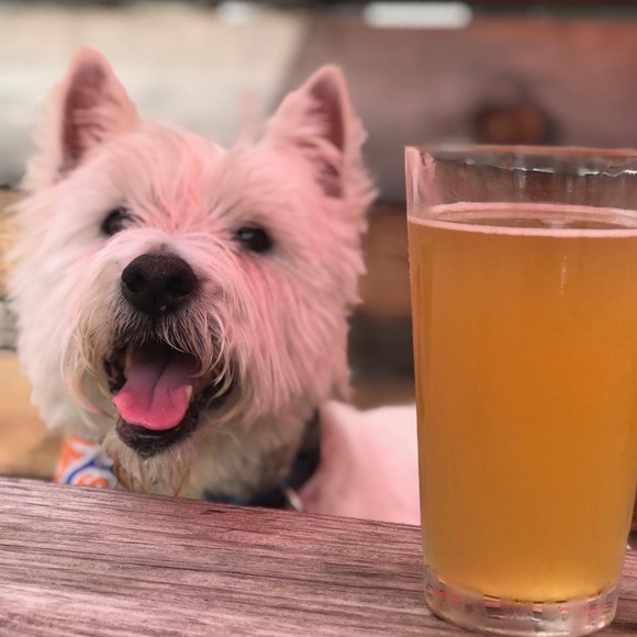 Meet your Posher, Kaleigh - Picture 2 of 2